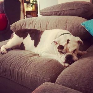 Meet your Posher, Kerry